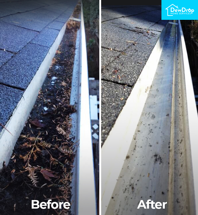 Gutter Cleaning in Mississauga